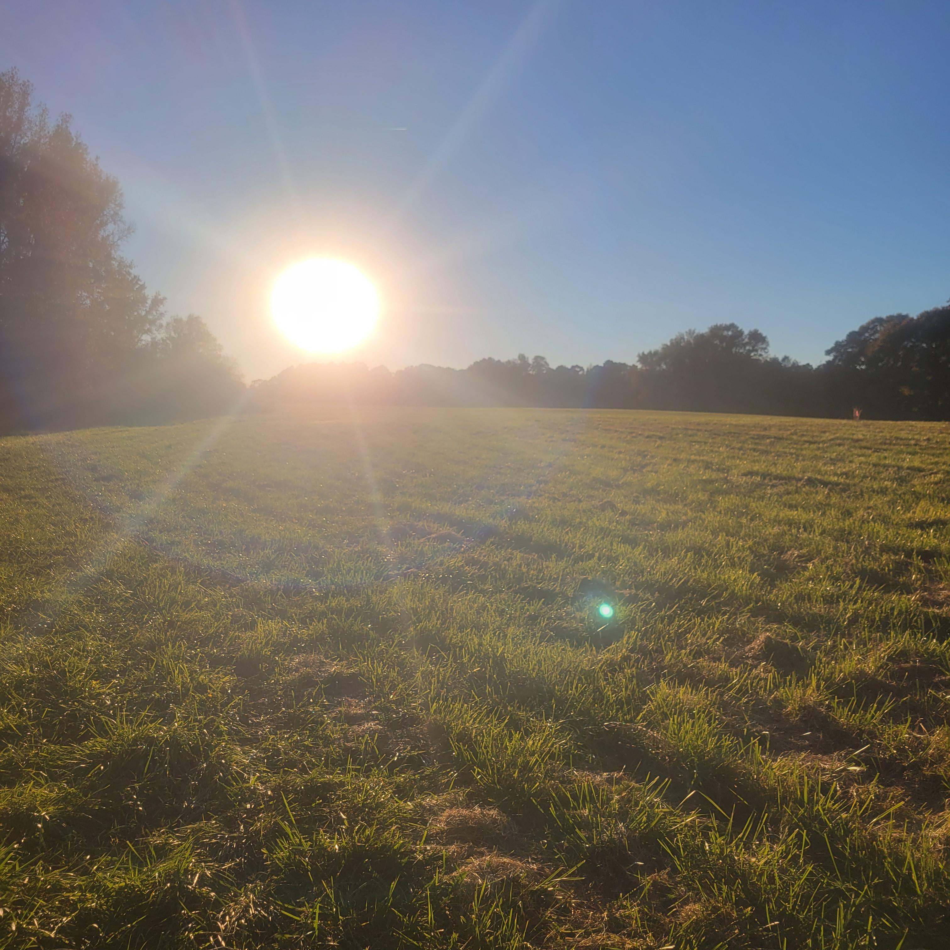 sunrise Mansfield Ga