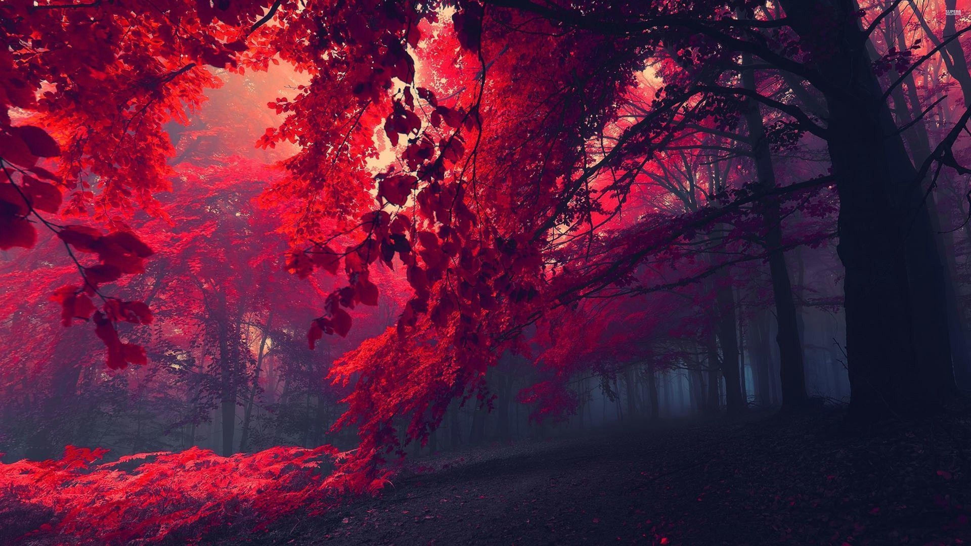 Wallpaper image