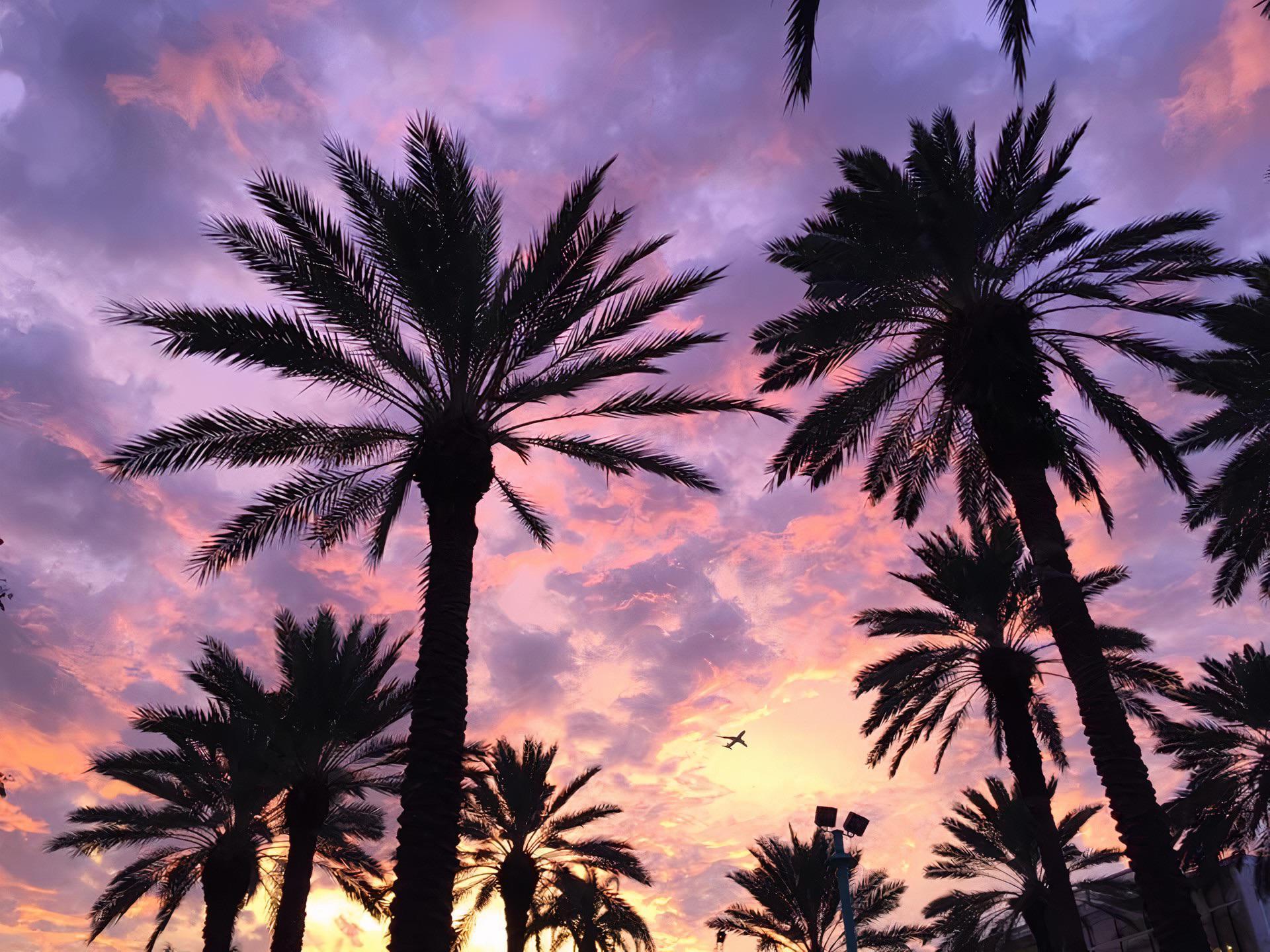 Wallpaper image