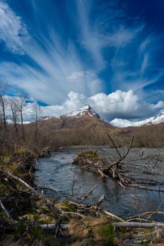 Sargent Creek, Kodiak AK