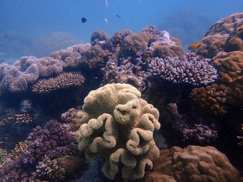 Castle Rock, Great Barrier Reef, Australia