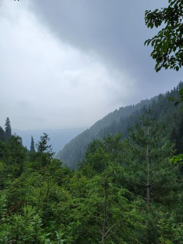 A cloudy summer evening in the hills of Nathiagali Pakistan