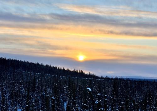 Sunrise over the Boreal forest, Alaska, .