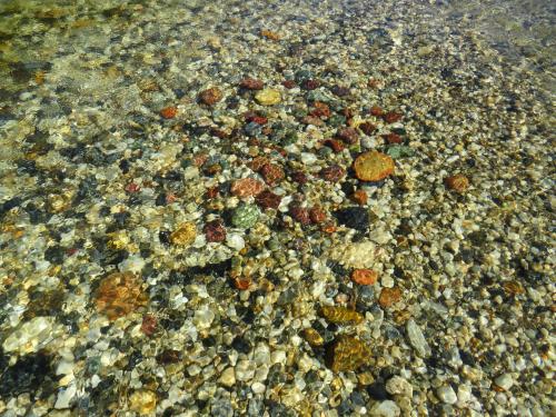 Easter Egg Hunt in a River of Northern California's Gold Country