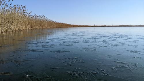 Frozen lake, Volyn, Ukraine.