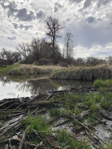 Riverfront park, Billings Montana