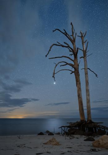 Jupiter near Opposition from Florida.