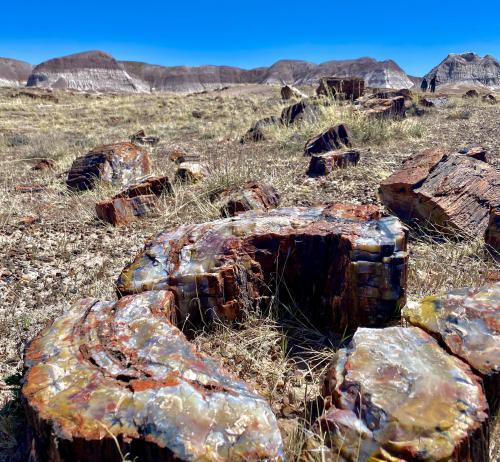 Petrified Forest NP, AZ, USA