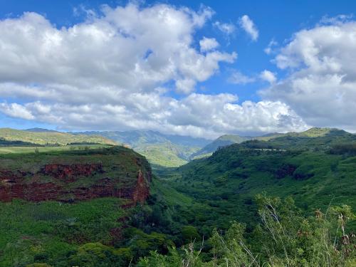 The lush Hanapepe Valley, Kauai, HI