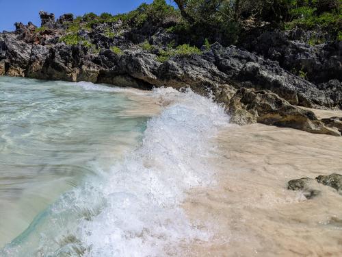 Today at John Smith's Bay in Bermuda