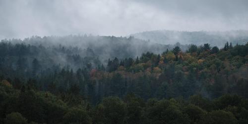 Early Fall | Algonquin Park, ON, Canada