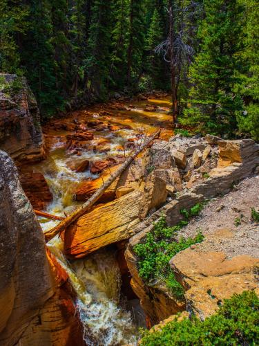 La Plata Peak trail, Colorado @mbolesari