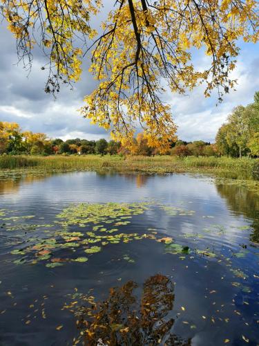 Jardin Botanique, Montréal