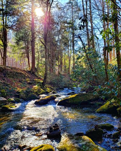 Sun shining over the creek. Jakes Creek Trail, Gatlinburg, TN