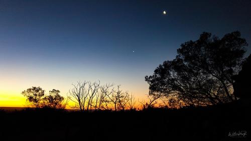 African Sunset