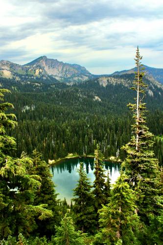 Snow Lake Mt. Rainier National Park Wa, 3761×5642