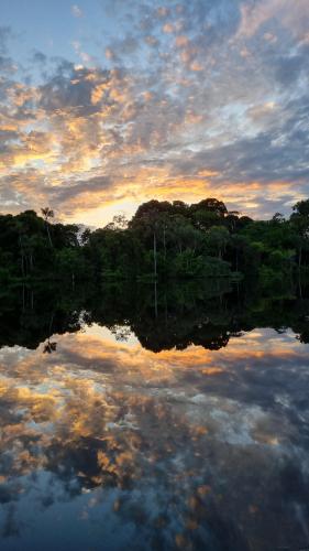 Rio Negro, Amazon