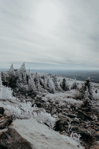 Spruce Knob WV