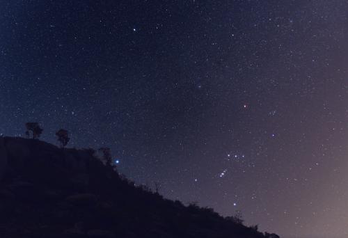 Orion and the winter triangle. Location: Chiguru farms, bangalore