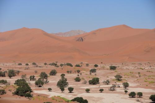 View of the salt pan from Big Momma dune - Sossussvlei, Namibia