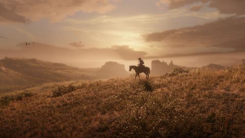 Red Dead Redemption II