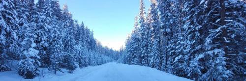 Banff, Albert, Canada