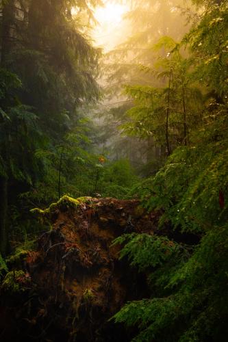 Cypress Falls Trail - West Vancouver, BC