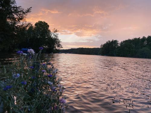 Pink Vermont sunsets are always a welcome break between bouts of rains.