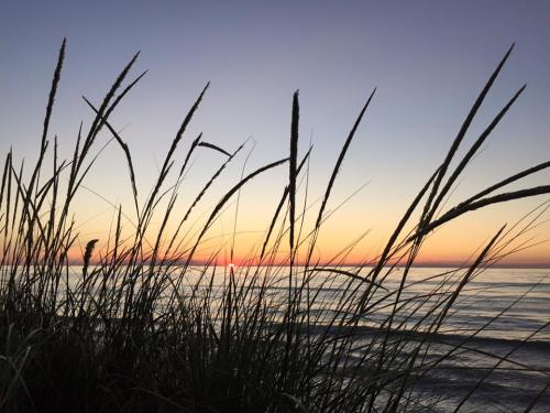 Summer on Lake Huron.