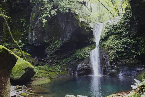 Oshiraji Falls, Tochigi, Japan