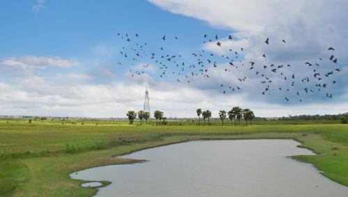 Bolpur, India