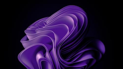 Windows 11 Abstract Purple Bloom