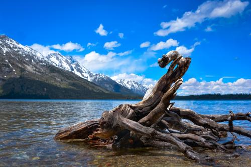 Jenny Lake In Grand Teton National Park - Jackson Hole, Wyoming