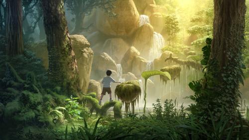 A boy wandering alone in a forest