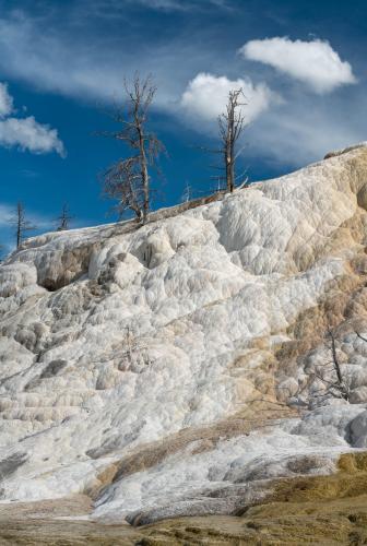 Mammoth Springs, Yellowstone