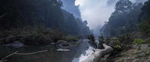 Somewhere in Bandarban, Bangladesh.