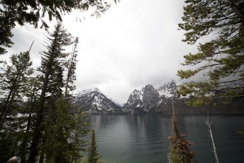 Jenny Lake