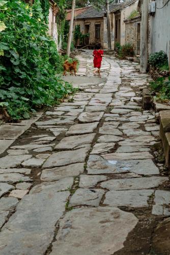 barefoot girl and her dog  2022 LianYunGang JiangSu China