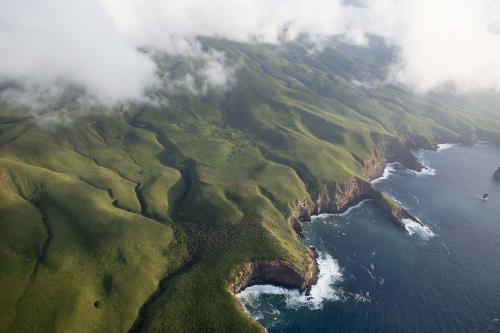 Revillagigedo Islands, Mexico  Photographer: Alfonso Reyes