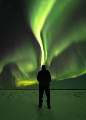 Watch Aurora Borealis Live Online | Dre Erwin Photography | Saskatchewan