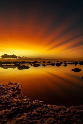 Summer Breeze, Mauritius Island