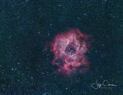 rosette nebula