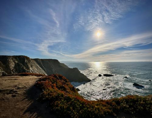 Bodega Head, CA, looking south toward Point Reyes peninsula, taken last Sunday.