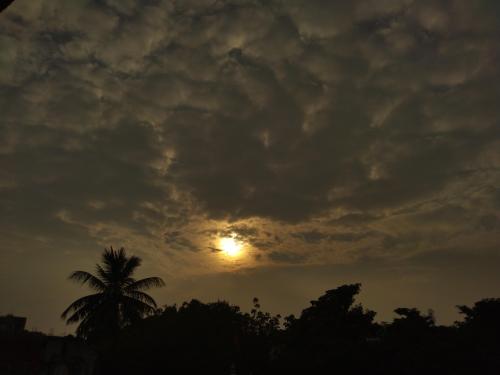 A view from my balcony