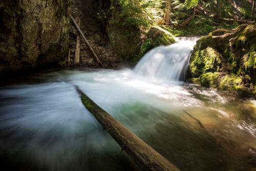 Short hike near Mt Hood, OR.