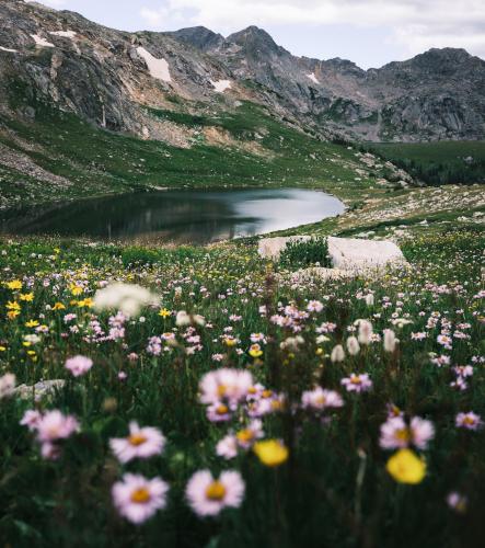 Holy Cross Wilderness, CO