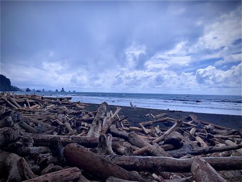 Pacific Coast, La Push, Washington