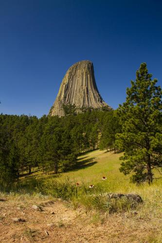 This is my favorite vantage of Devil's Tower in Wyoming