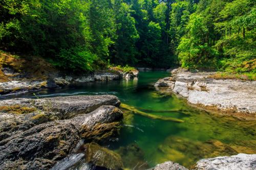 Cowichan River Provincial Park Canada by Adrian Sherlock