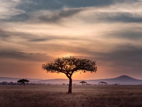 Serengetti, Tanzania